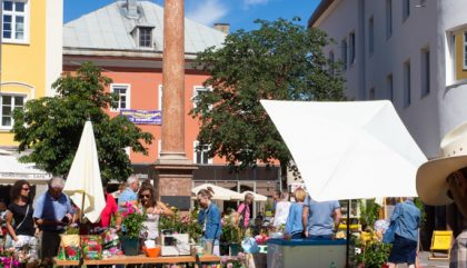 rosenausstellung-lienz-g169-brunner rosenausstellung-lienz-g169-brunner