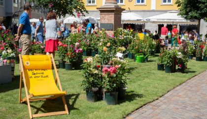 rosenausstellung-lienz-g192-brunner rosenausstellung-lienz-g192-brunner