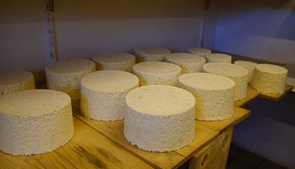 lasnitzenalm-sennerei-c-ohhk01 lasnitzenalm-sennerei-c-ohhk01