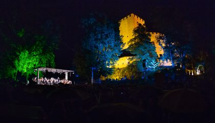 sommernachtskonzertschlossbruck2018-g016-brunner