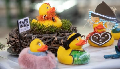 29.09.2018, Oesterreich, Lienz, Borg Areal, Entenaktion, Im Bild verschiedenste Enten wurden praesentiert - Brunner Images 2018, Foto: Brunner Images / Philipp Brunner 29.09.2018, Oesterreich, Lienz, Borg Areal, Entenaktion, Im Bild verschiedenste Enten wurden praesentiert - Brunner Images 2018, Foto: Brunner Images / Philipp Brunner