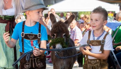 11. Nussdorfer Herbstfest