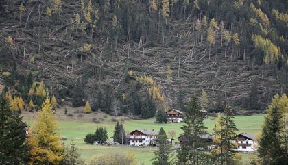 Föhnsturm holzte Wald in Osttirol ab Land Tirol-Brandhuber Föhnsturm holzte Wald in Osttirol ab Land Tirol-Brandhuber