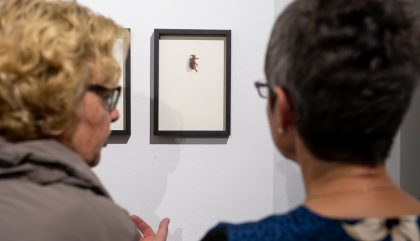 Vernissage Alexandra Kontriner