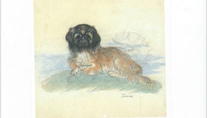jungnickel pekinese-c-dolomitenbank jungnickel pekinese-c-dolomitenbank