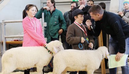 Osttiroler-Bezirksschaf-Ausstellung-Bambinis3-c-osttirolheute Osttiroler-Bezirksschaf-Ausstellung-Bambinis3-c-osttirolheute
