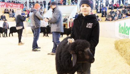 Osttiroler-Bezirksschaf-Ausstellung-Bambinis4-c-osttirolheute Osttiroler-Bezirksschaf-Ausstellung-Bambinis4-c-osttirolheute