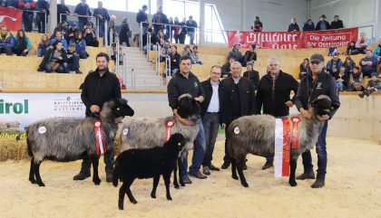 Osttiroler-Bezirksschaf-Ausstellung-Sieger2-c-osttirolheute Osttiroler-Bezirksschaf-Ausstellung-Sieger2-c-osttirolheute