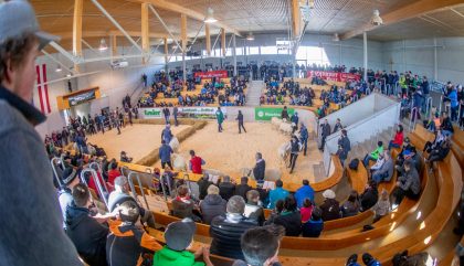 23.02.2019 - Osttiroler Bezirks-Schaf-Ausstellung - Lienz 23.02.2019 - Osttiroler Bezirks-Schaf-Ausstellung - Lienz