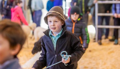 23.02.2019 - Osttiroler Bezirks-Schaf-Ausstellung - Lienz 23.02.2019 - Osttiroler Bezirks-Schaf-Ausstellung - Lienz