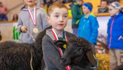 23.02.2019 - Osttiroler Bezirks-Schaf-Ausstellung - Lienz 23.02.2019 - Osttiroler Bezirks-Schaf-Ausstellung - Lienz