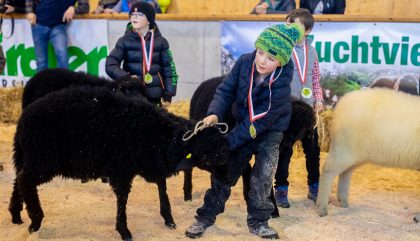 23.02.2019 - Osttiroler Bezirks-Schaf-Ausstellung - Lienz 23.02.2019 - Osttiroler Bezirks-Schaf-Ausstellung - Lienz