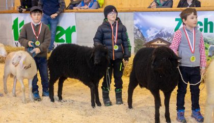 23.02.2019 - Osttiroler Bezirks-Schaf-Ausstellung - Lienz 23.02.2019 - Osttiroler Bezirks-Schaf-Ausstellung - Lienz