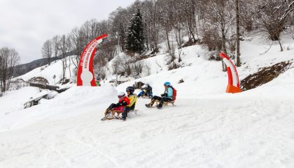wildkogelarena-rodelerlebnis-c-oh9552 wildkogelarena-rodelerlebnis-c-oh9552