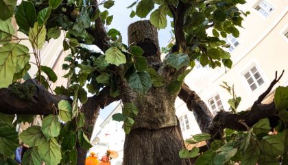 Gigantische Baumwesen erwachten noch einmal inmitten des Publikums zum Leben und bezogen die Zuschauer in ihre fabelhafte Naturwelt mit ein. Groß und Klein wurden wie durch Zauberhand von den „Living Trees“ der Gruppe „Ricoart“ aus Deutschland in eine mystische Waldatmosphäre versetzt. 