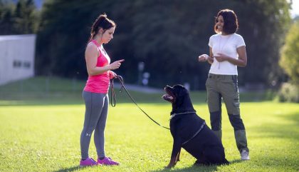 Hundetrainerin Mara Frotschnig_c_Martin Lugger3 Hundetrainerin Mara Frotschnig_c_Martin Lugger3