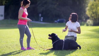 Hundetrainerin Mara Frotschnig_c_Martin Lugger4 Hundetrainerin Mara Frotschnig_c_Martin Lugger4