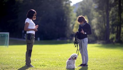 Hundetrainerin Mara Frotschnig_c_Martin Lugger8 Hundetrainerin Mara Frotschnig_c_Martin Lugger8
