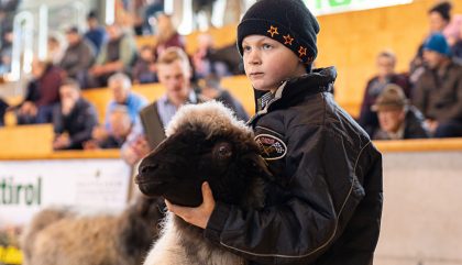 RGO-Schaf-Ausstellung-0042-c-petermaerkl RGO-Schaf-Ausstellung-0042-c-petermaerkl