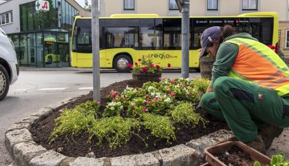 Stadtgaertnerei-Bepflanzung7_c-OsttirolHeute Stadtgaertnerei-Bepflanzung7_c-OsttirolHeute