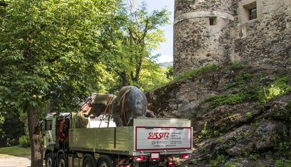 JosPirkner-Bulle-SchlossBruck-Transport3_c-OsttirolHeute