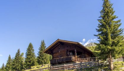 Göriacher Alm Bergmann Anton Debanttal_c_Osttirol heute (22) Göriacher Alm Bergmann Anton Debanttal_c_Osttirol heute (22)