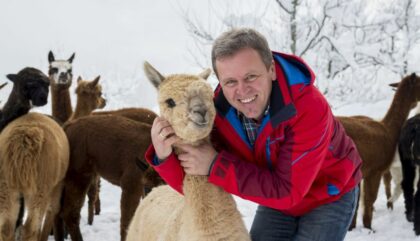 Alpakas Freiberger Zwickenberg_c_martin lugger (17) Alpakas Freiberger Zwickenberg_c_martin lugger (17)