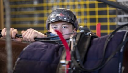Trabrennfahrer Jonas Steiner_c_Franz Reifmüller (20) Trabrennfahrer Jonas Steiner_c_Franz Reifmüller (20)