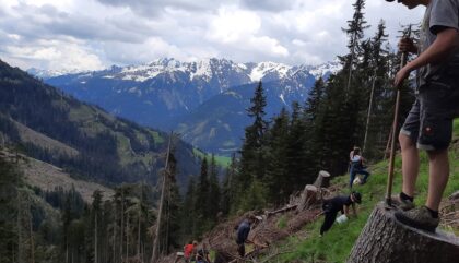 Obertilliach_Zukunft_Wald_c_Jungbauernschaft Landjugend Osttirol Obertilliach_Zukunft_Wald_c_Jungbauernschaft Landjugend Osttirol