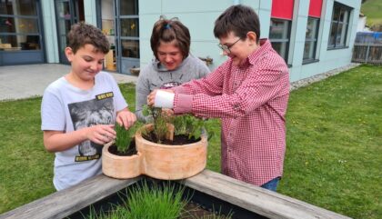 Georg-Großlercher-Schule-kraeuter_10-start-c-ASO Sillian Georg-Großlercher-Schule-kraeuter_10-start-c-ASO Sillian