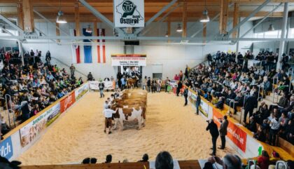 RGO-Bezirksrinderschau-Lienz-7mai2022-c-eliasbachmann9730 RGO-Bezirksrinderschau-Lienz-7mai2022-c-eliasbachmann9730