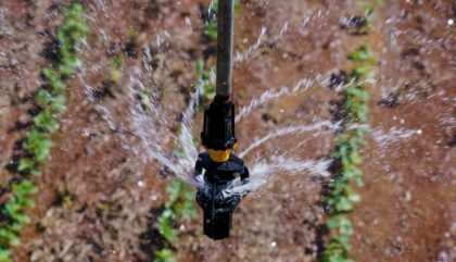 Komet Irrigation Pivot Sprinkler im Feld-c-komet-austriagmbh Komet Irrigation Pivot Sprinkler im Feld-c-komet-austriagmbh