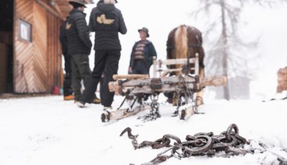 Holzfuhrwerken-0040-k23-c-petermärkle