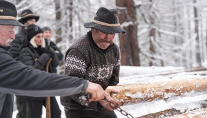 Holzfuhrwerken-0080 4c-k23-c-petermärkle
