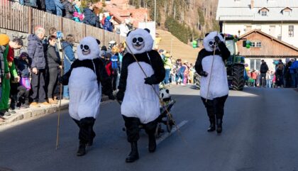 Faschingsumzug Sillian 130224_c_Osttirol heute (6 Faschingsumzug Sillian 130224_c_Osttirol heute (6