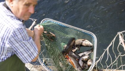 Fischzucht Ludwiger Obervellach_c_martin lugger (9) Fischzucht Ludwiger Obervellach_c_martin lugger (9)