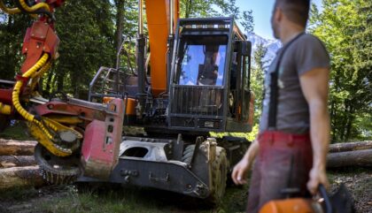 Wernisch Philipp Holz Dellach_c_martin lugger (1) Wernisch Philipp Holz Dellach_c_martin lugger (1)