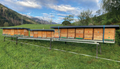 imker-strieder-Bienenstoecke Lesachtal imker-strieder-Bienenstoecke Lesachtal