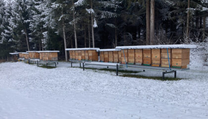 imker-strieder-Bienenstoecke Winter imker-strieder-Bienenstoecke Winter