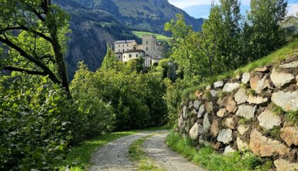 parkweg-schloss-weissenstein_c_fag6